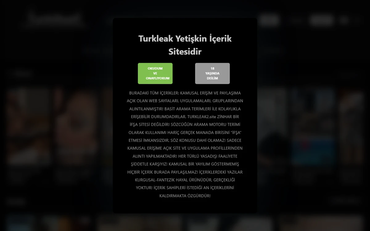 Turk Ifsa 3 (TurkIfsa3.com) screenshot